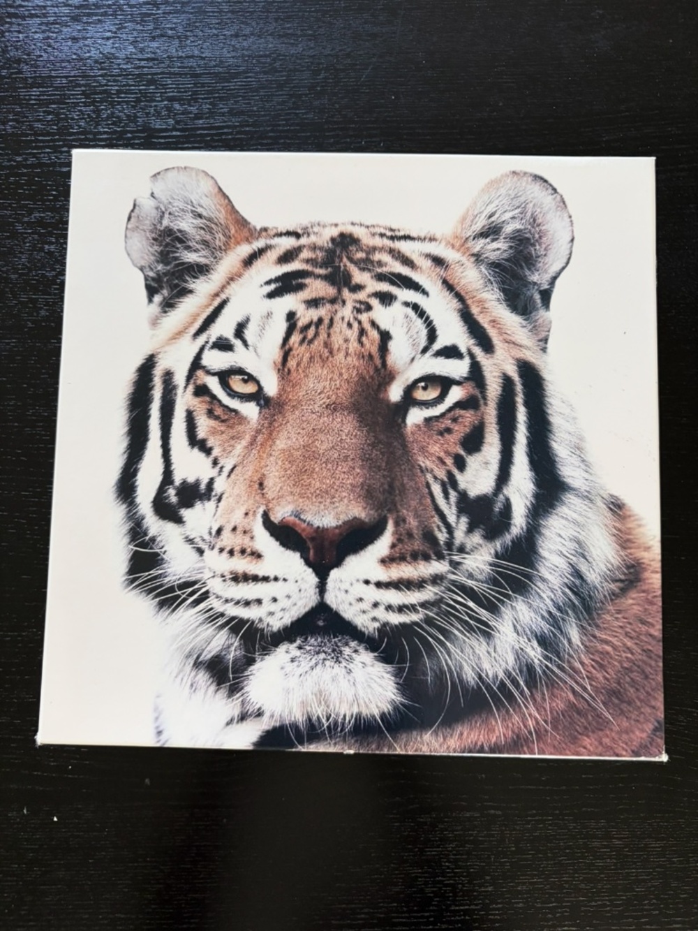 Tiger Puzzle
